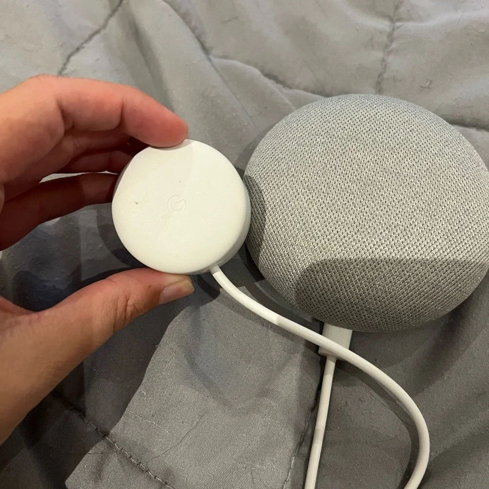 GOOGLE HOME MINI